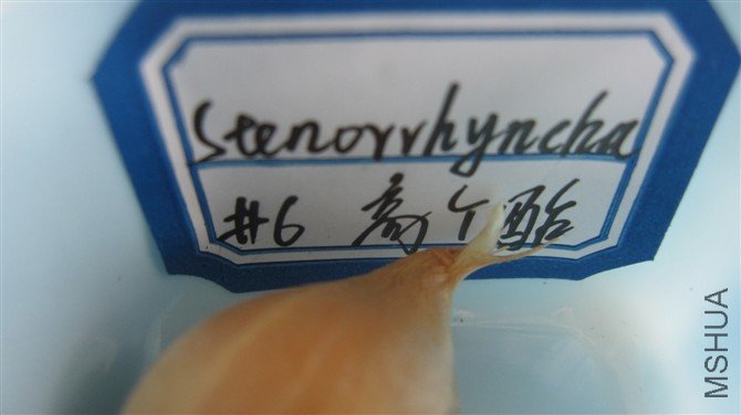 http_imgloadCA94M207.jpg