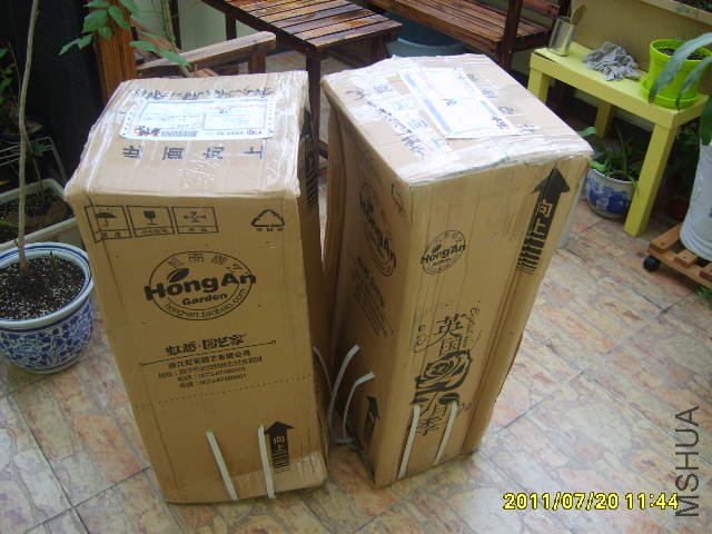 S6000223.JPG