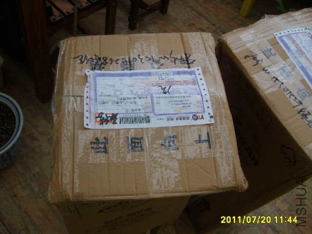 S6000224.JPG