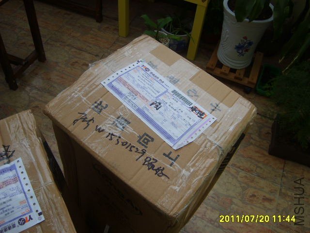 S6000225.JPG
