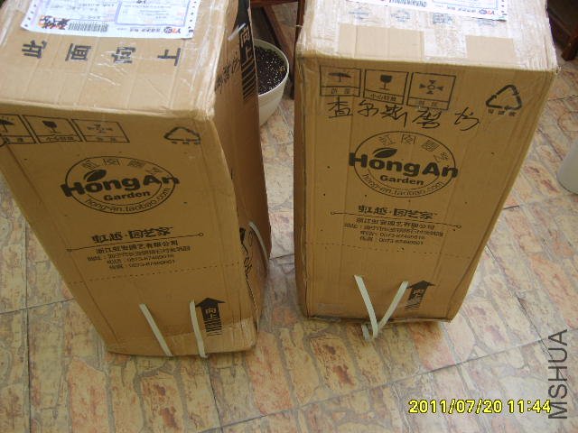 S6000226.JPG