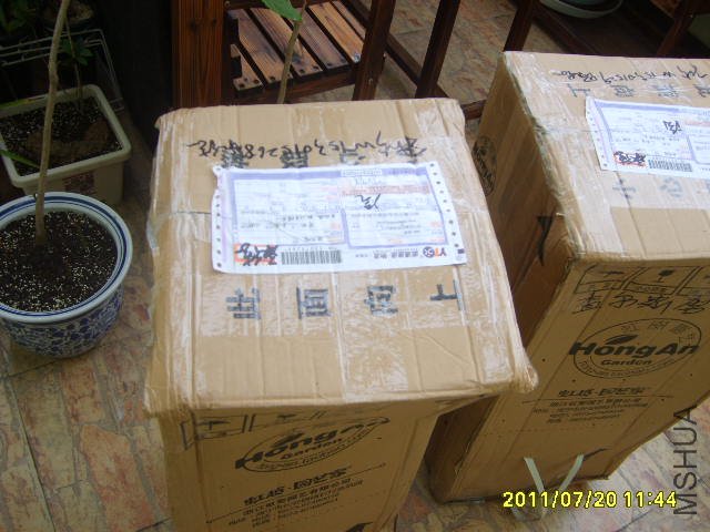 S6000227.JPG