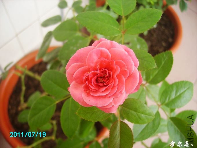 PICT0066.JPG