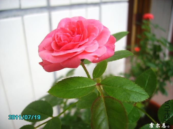 PICT0069.JPG