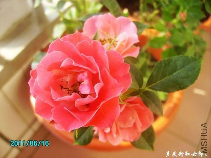 PICT0012.JPG