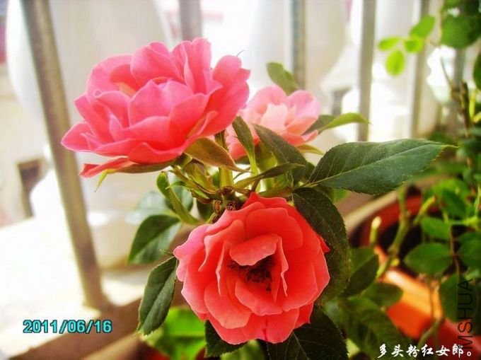 PICT0014.JPG