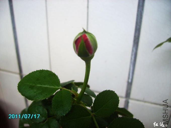 PICT0065.JPG