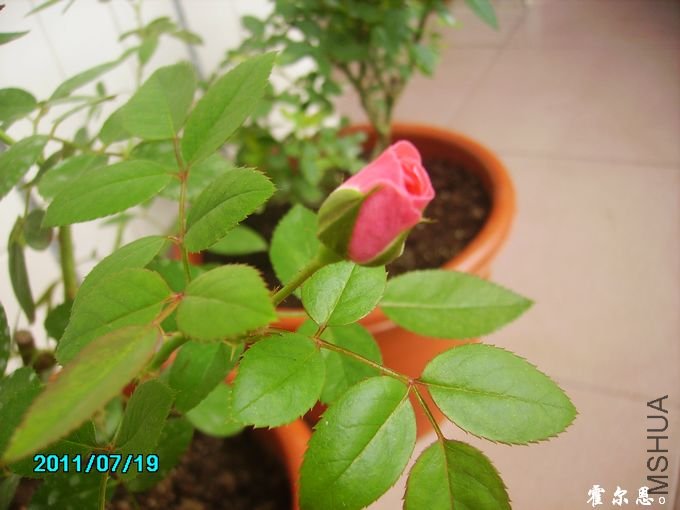 PICT0071.JPG
