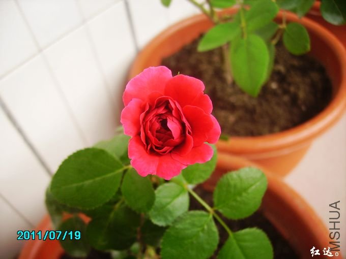 PICT0072.JPG