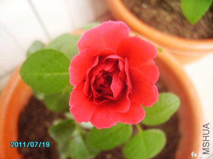 PICT0076.JPG