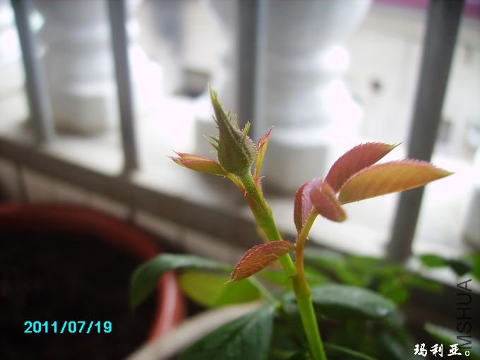 PICT0080.JPG