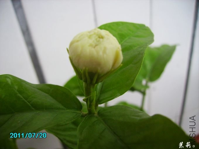 PICT0082.JPG