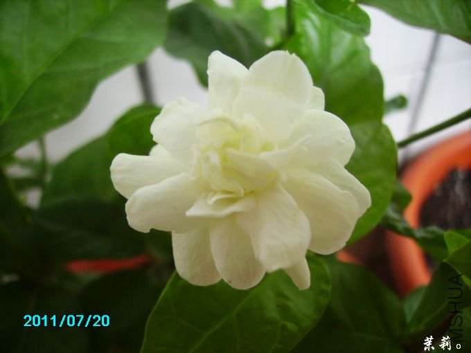 PICT0083.JPG