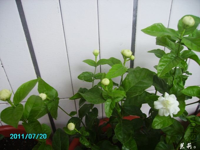PICT0084.JPG