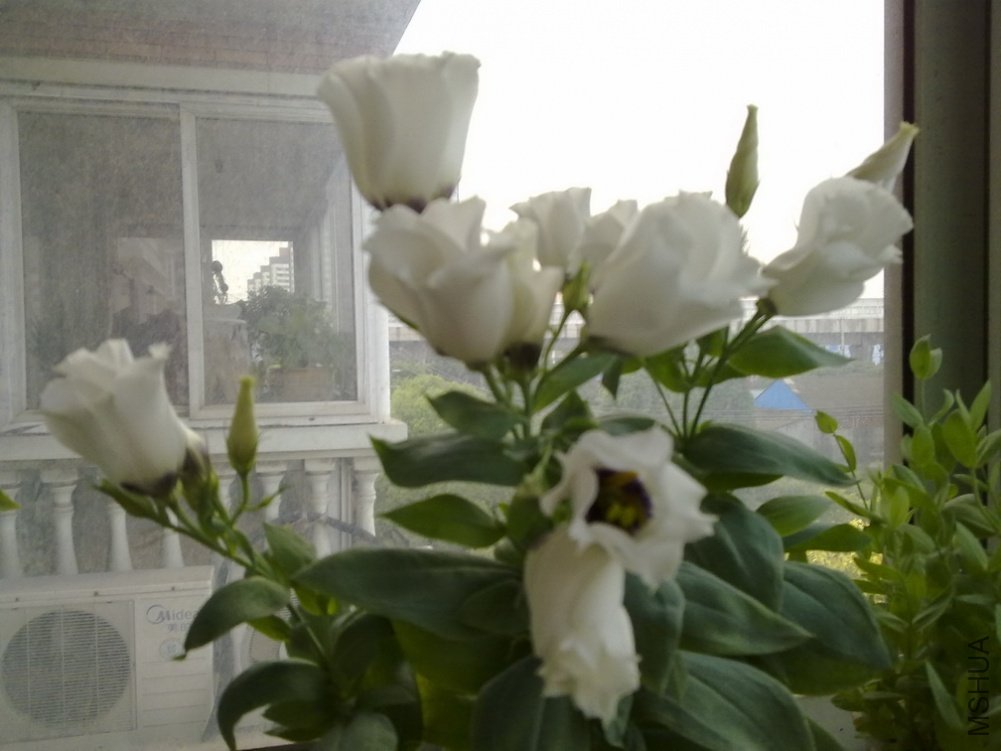 20110622477.jpg