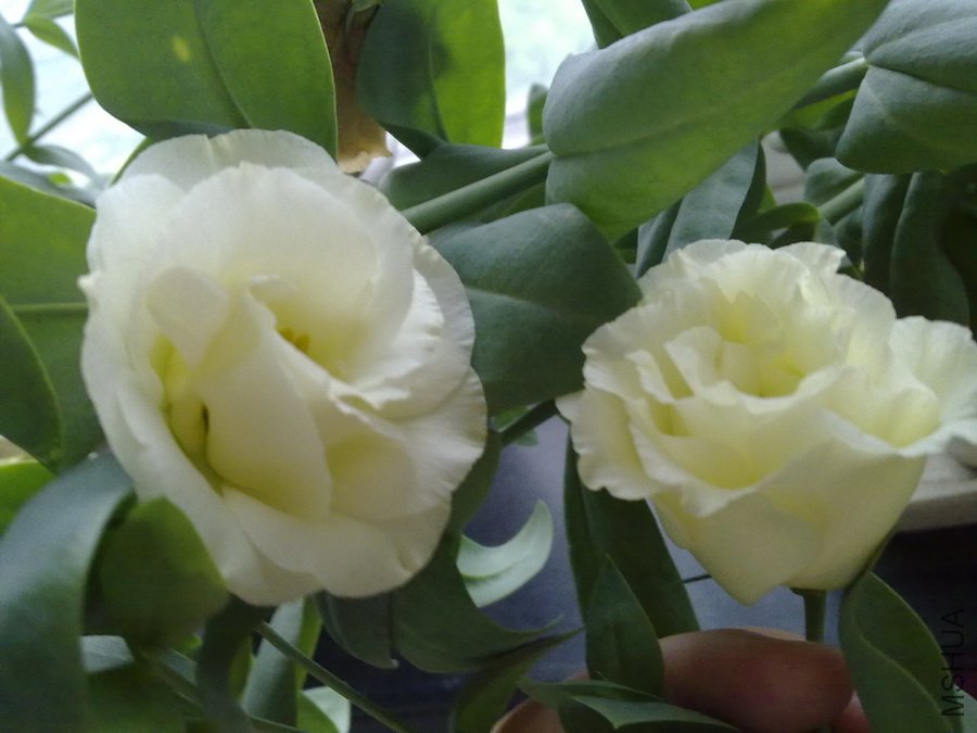 20110720503.jpg