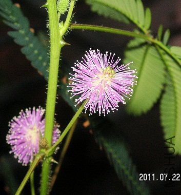 PICT0002.JPG