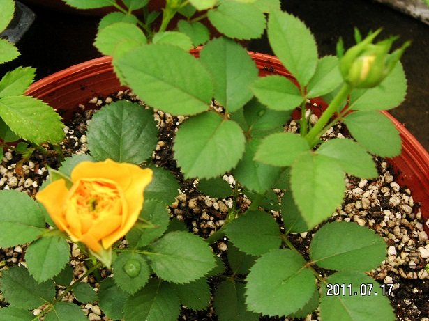 PICT0002.JPG