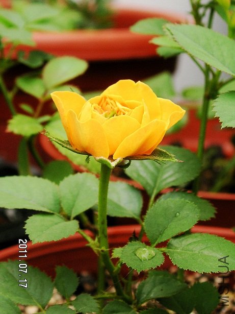 PICT0004.JPG