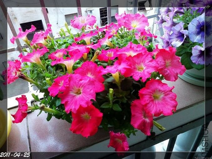 20110320114.jpg