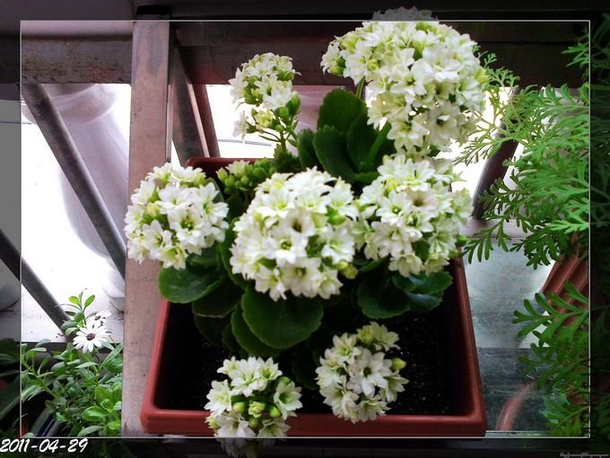 20110409171.jpg