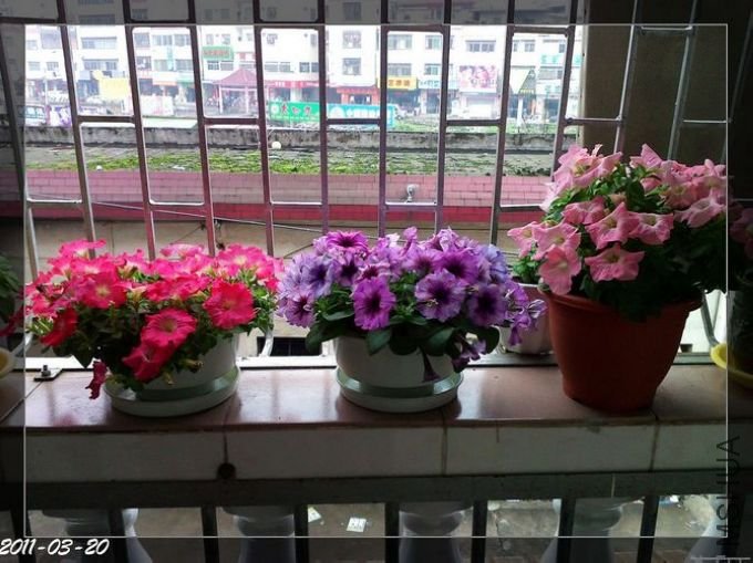 20110320116.jpg