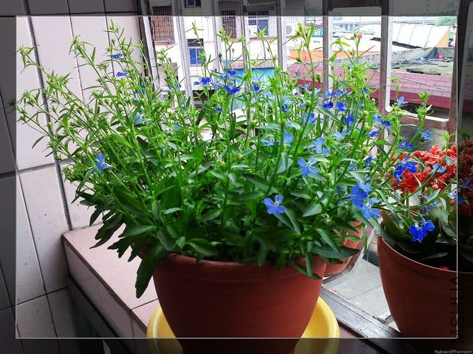 20110324125.jpg