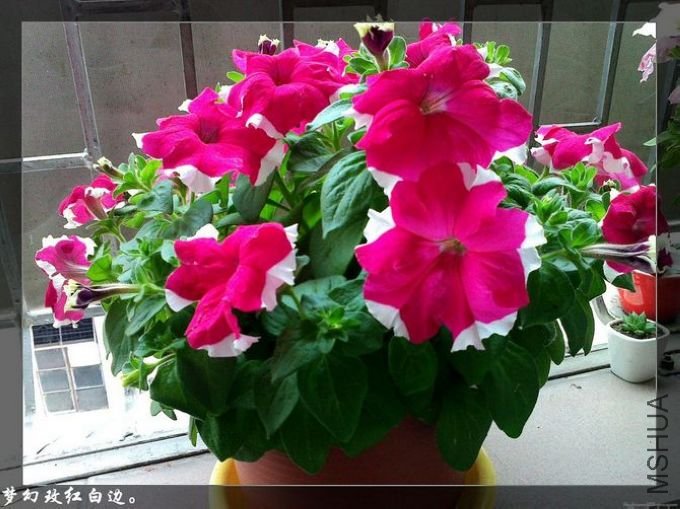 20110409174.jpg