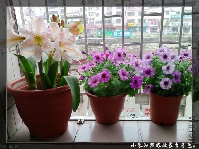 20110416181.jpg