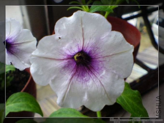 DSC00004.JPG