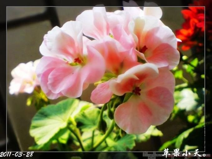 DSC00359.JPG
