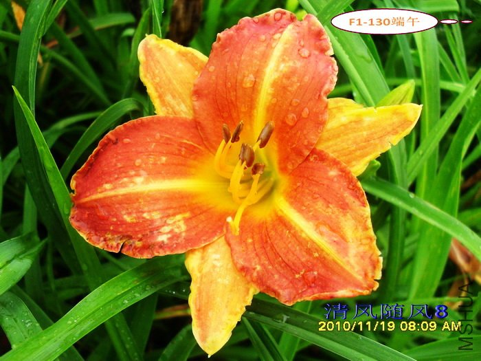 F1-130���� (1).jpg