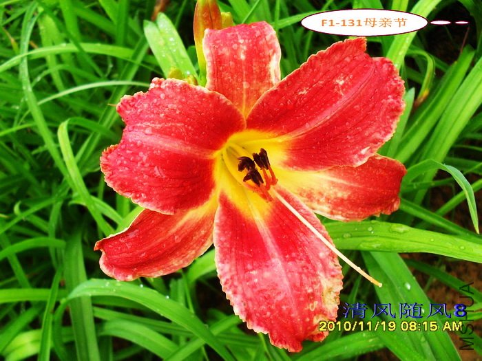 F1-131ĸ�׽� (2).jpg