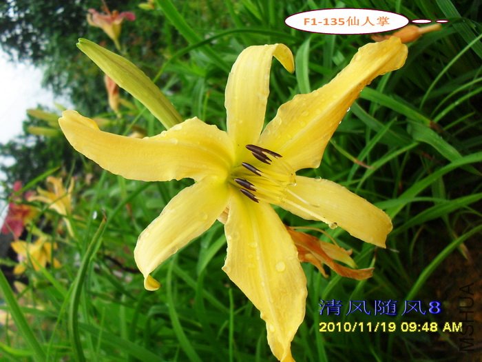 F1-135������ (1).jpg