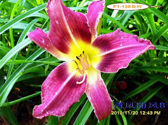 F1-138��ת (1).jpg