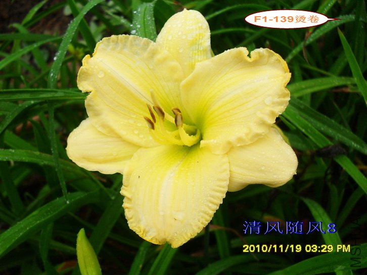 F1-139�̾� (2).jpg