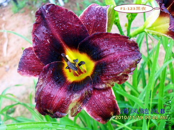 F1-123��ҹ (1).jpg