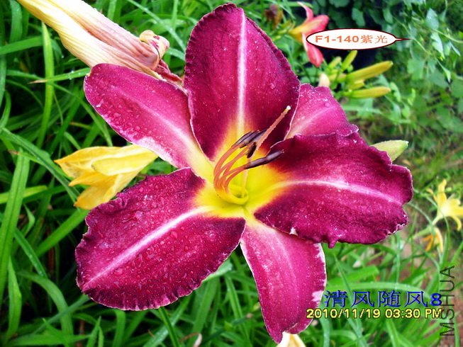 F1-140�Ϲ� (1).jpg