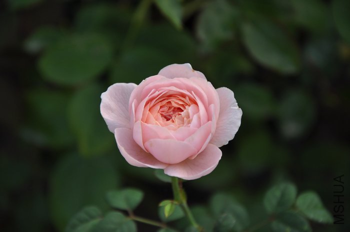 2011.7.20 001Ů��.jpg