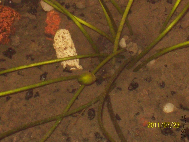 С���Ļ���Ϊʲô�����أ�