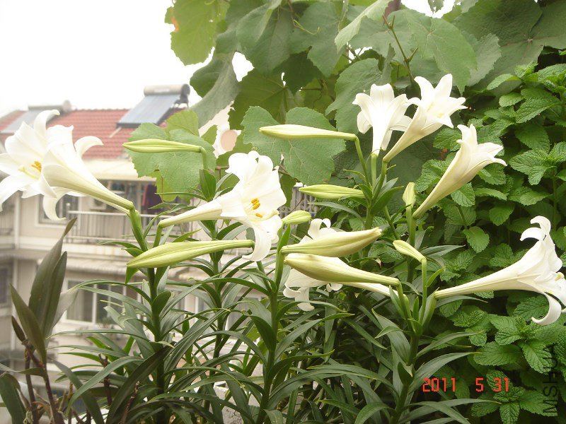DSC02878_800x600.JPG