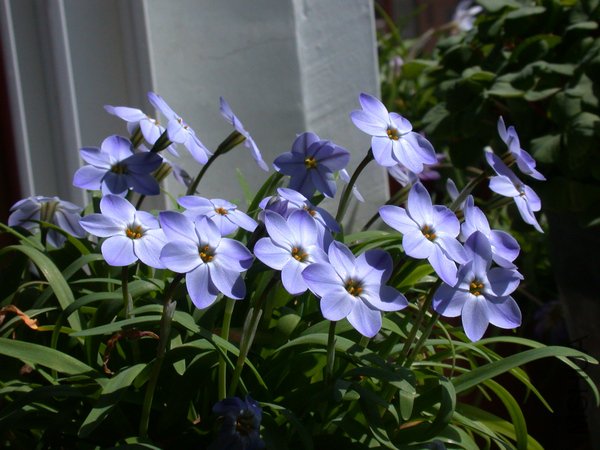 DSCN3503.JPG