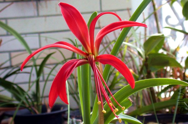 DSCN3150.JPG
