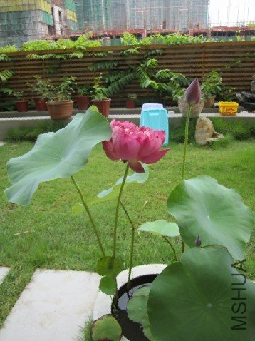 08.jpg