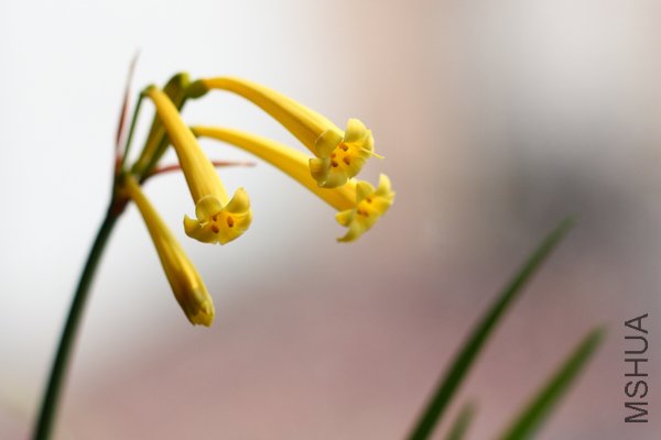 IMG_4734.jpg