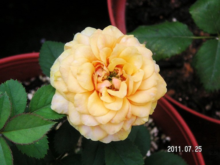 PICT0001.JPG