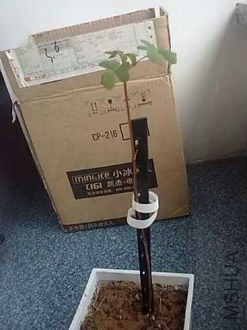 �߰ɣ����ɣ������Ұ�