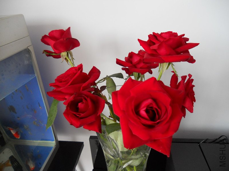 DSCN3614_����.jpg
