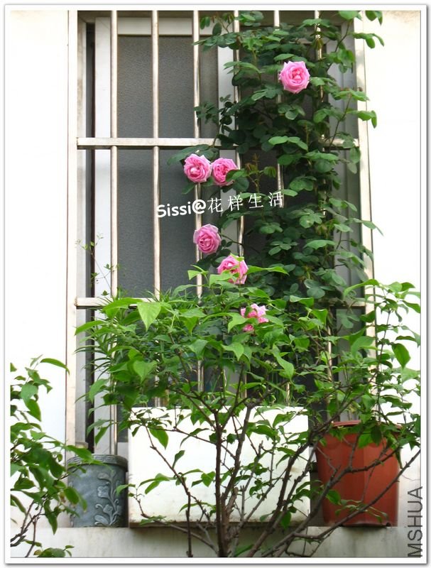 ������ 110509 071.jpg