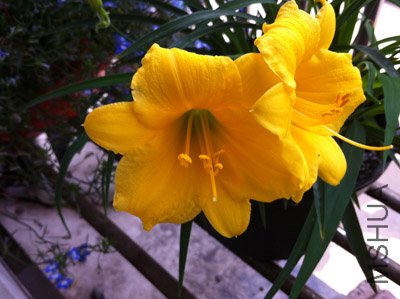 IMG_0563.JPG